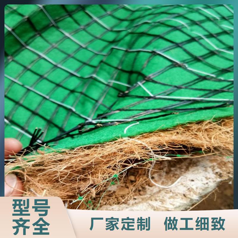 【 椰丝毯 土工格栅实体厂家】鼎诺植草格