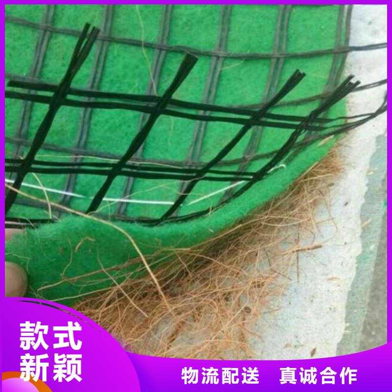 【 椰丝毯 土工格栅实体厂家】鼎诺植草格