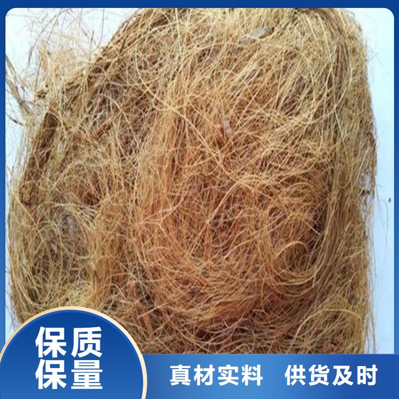 【 椰丝毯 土工格栅实体厂家】鼎诺植草格
