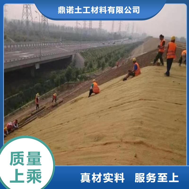 【 椰丝毯 土工格栅实体厂家】鼎诺植草格