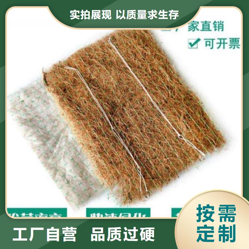 【 椰丝毯 土工格栅实体厂家】鼎诺植草格