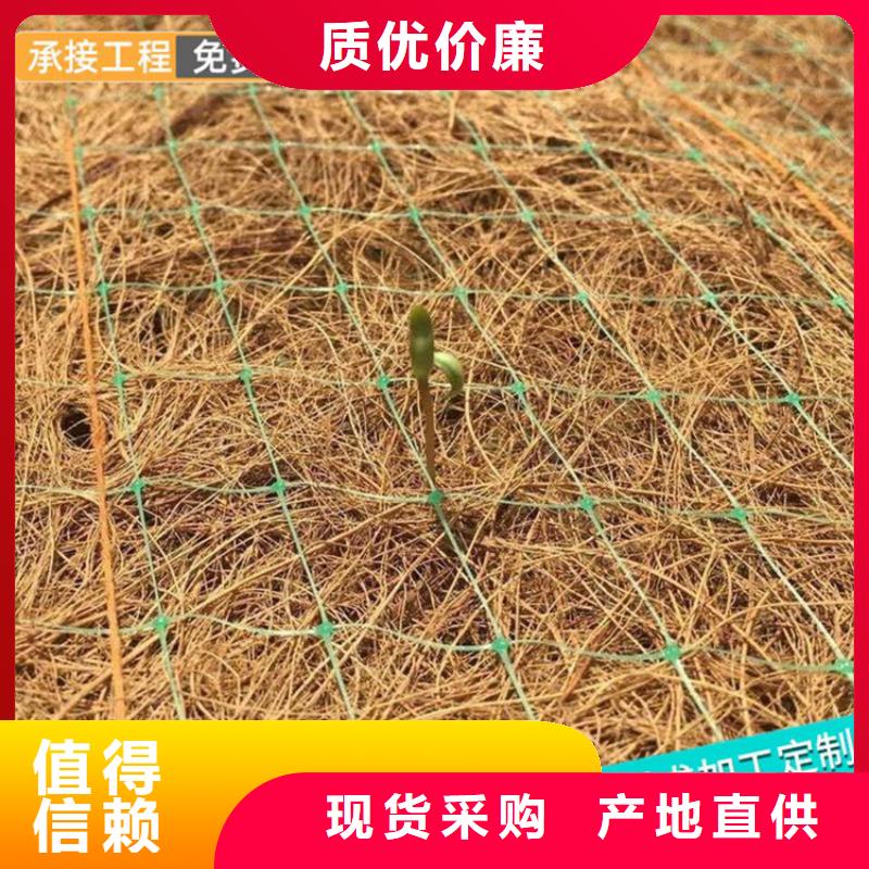 椰丝毯_HDPE土工膜认准大品牌厂家