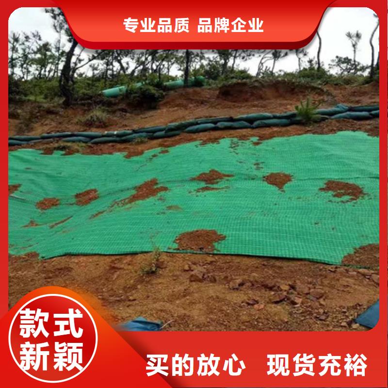 椰丝毯土工布产地源头好货