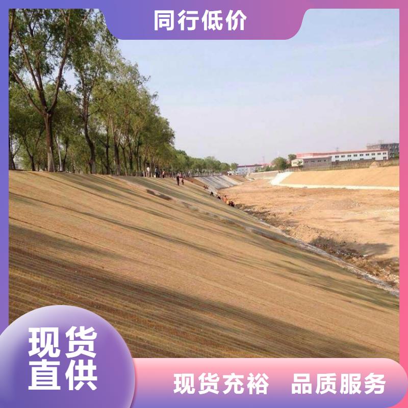 椰丝毯土工布产地源头好货