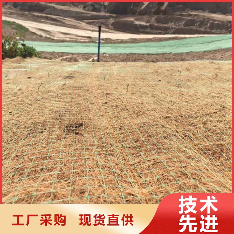 椰丝毯【防水排水板】用途广泛