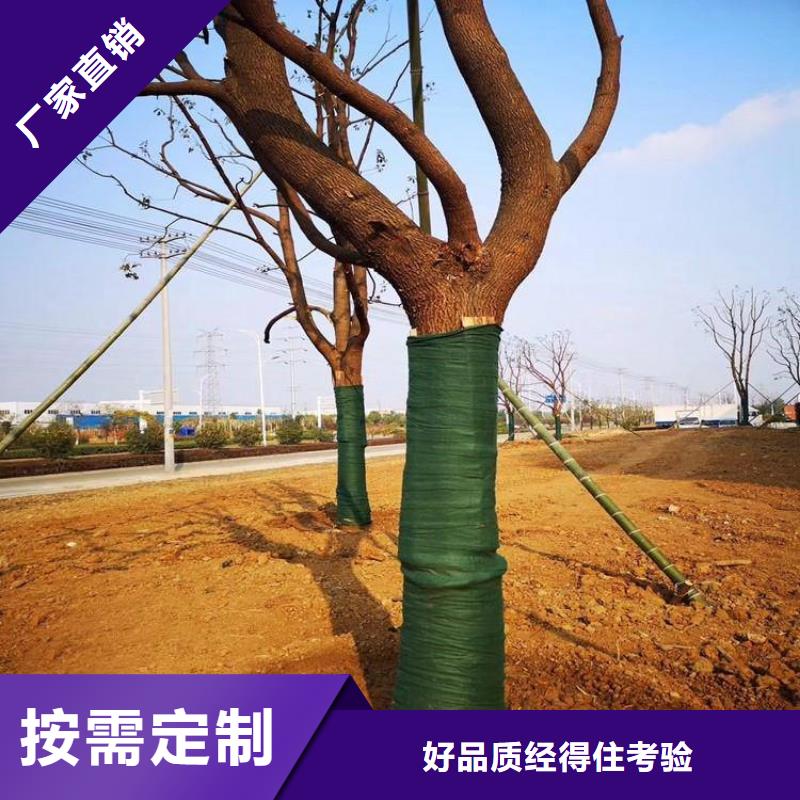 裹树布土工格栅源头直供