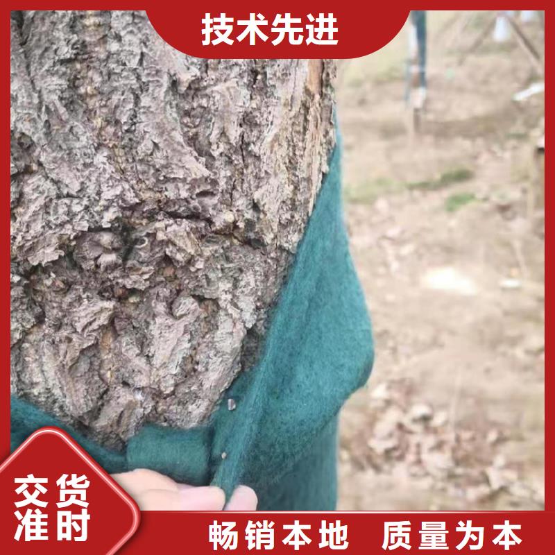 裹树布_HDPE土工膜N年生产经验