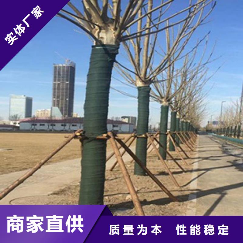 【 裹树布,防水排水板工厂认证】本地厂家
