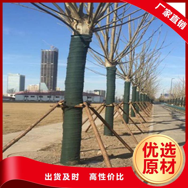 裹树布_保湿布价格实惠