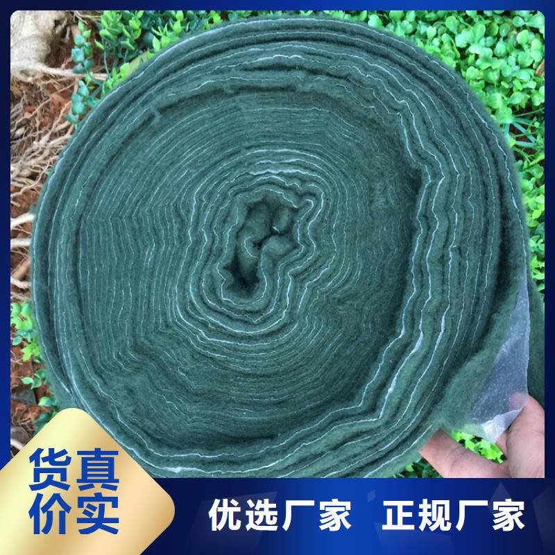 裹树布_HDPE土工膜N年生产经验