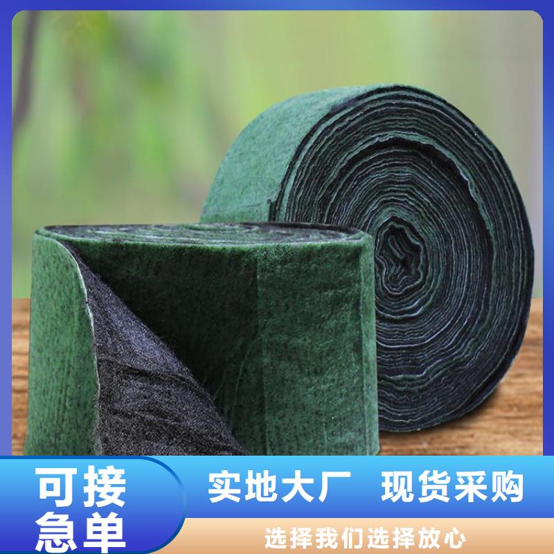 裹树布【土工膜】适用场景