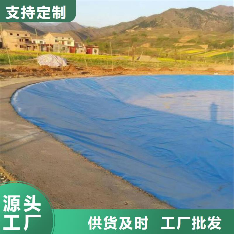 土工膜,土工布当地厂家值得信赖