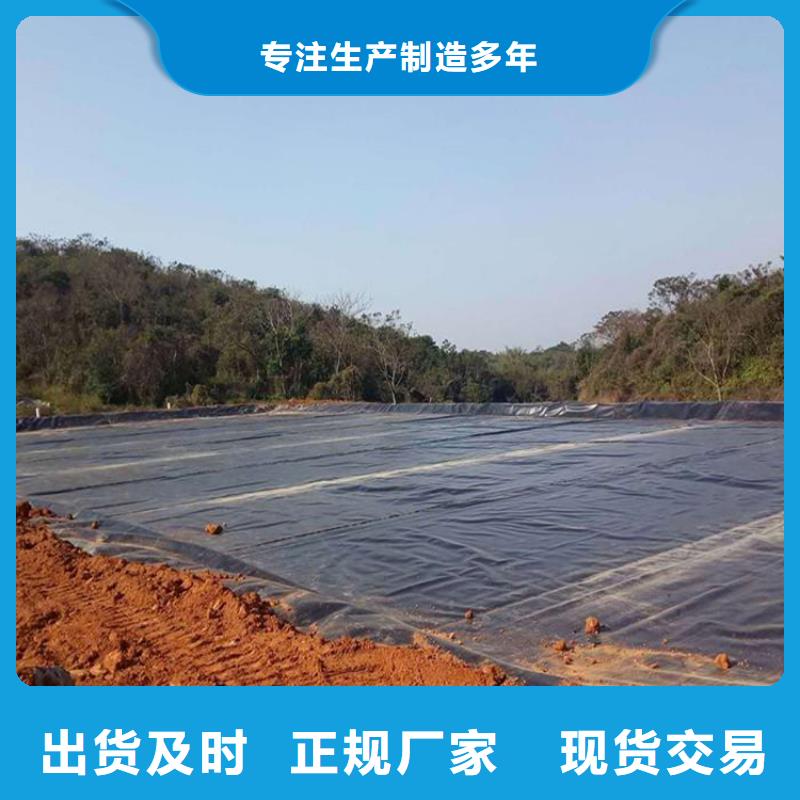 土工膜,土工布当地厂家值得信赖