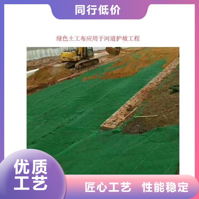 土工布-生态带您想要的我们都有