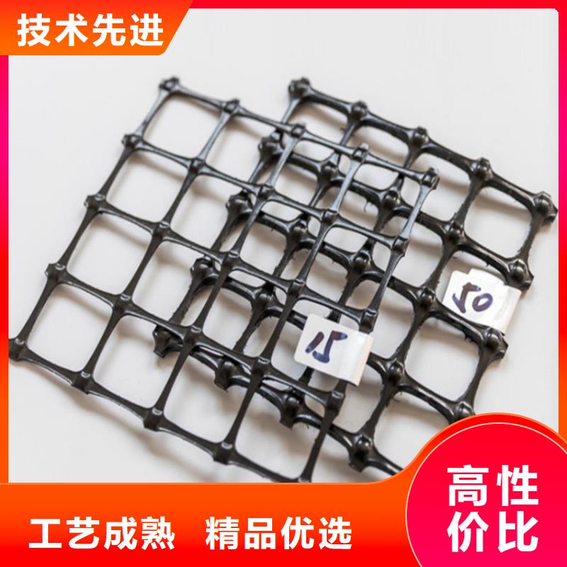 土工格栅_土工膜实地大厂