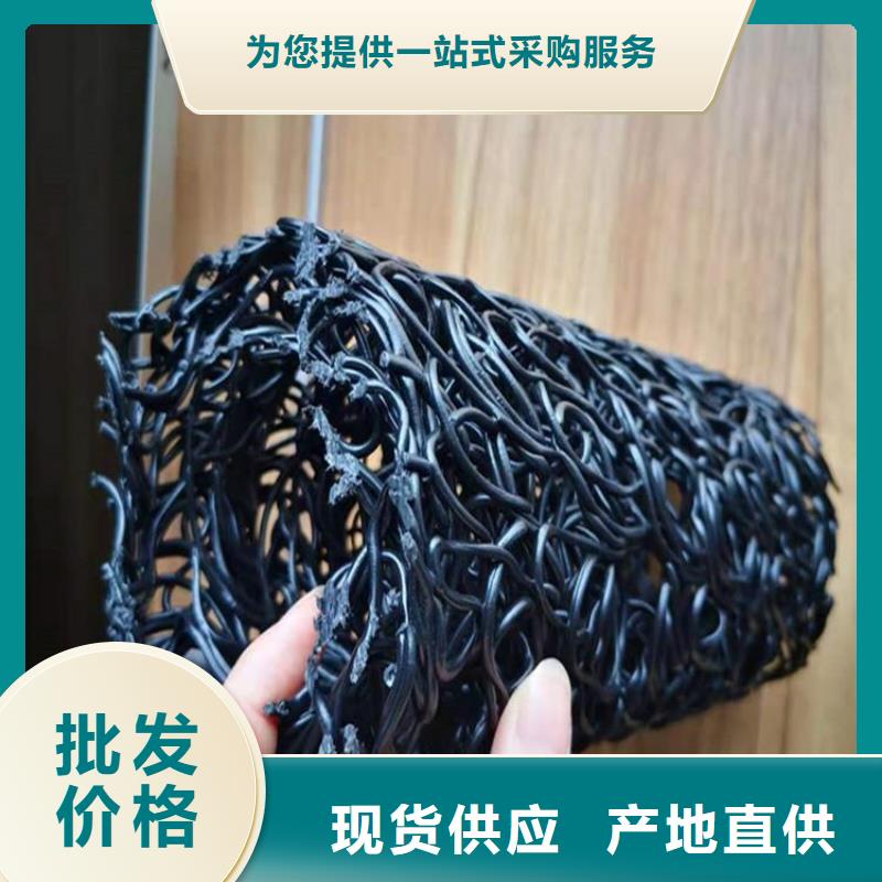 塑料盲沟-【通风降噪丝网】厂家技术完善