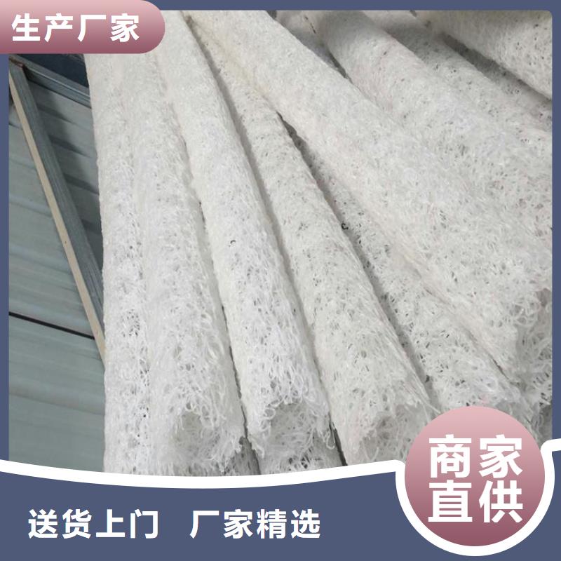 塑料盲沟_【通风降噪丝网】厂家直销值得选择由中齐为您