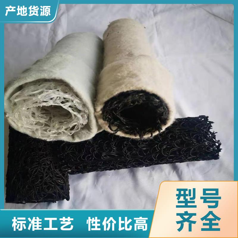 塑料盲沟-【通风降噪丝网】厂家技术完善