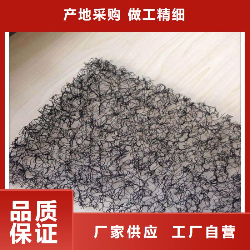 水土保护毯_双向土工格栅来电咨询