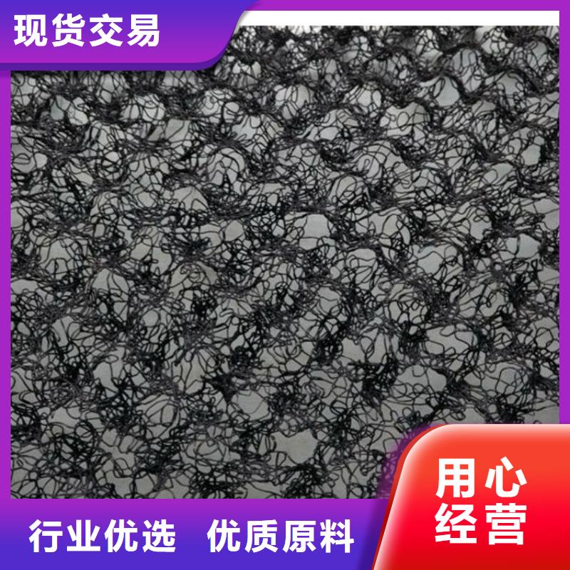 水土保护毯_双向塑料土工格栅定制不额外收费