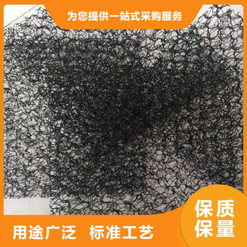 水土保护毯-土工膜厂家现货批发