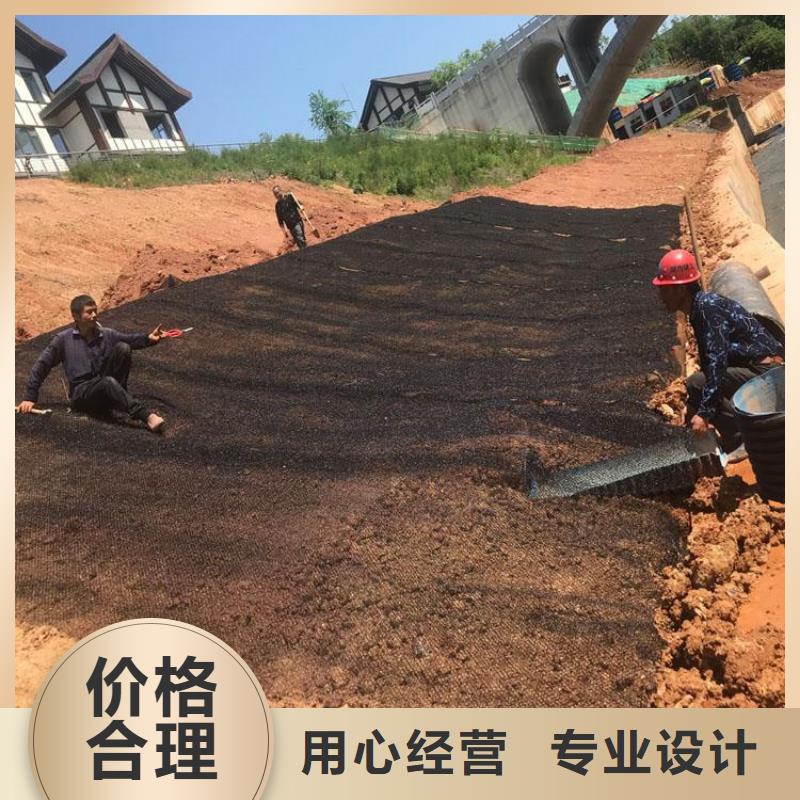 丛台|广平|邢台|唐山|石家庄|沧州|衡水|廊坊|保定【 水土保护毯 拉筋带高品质诚信厂家】-中齐建材(邯郸市分公司)