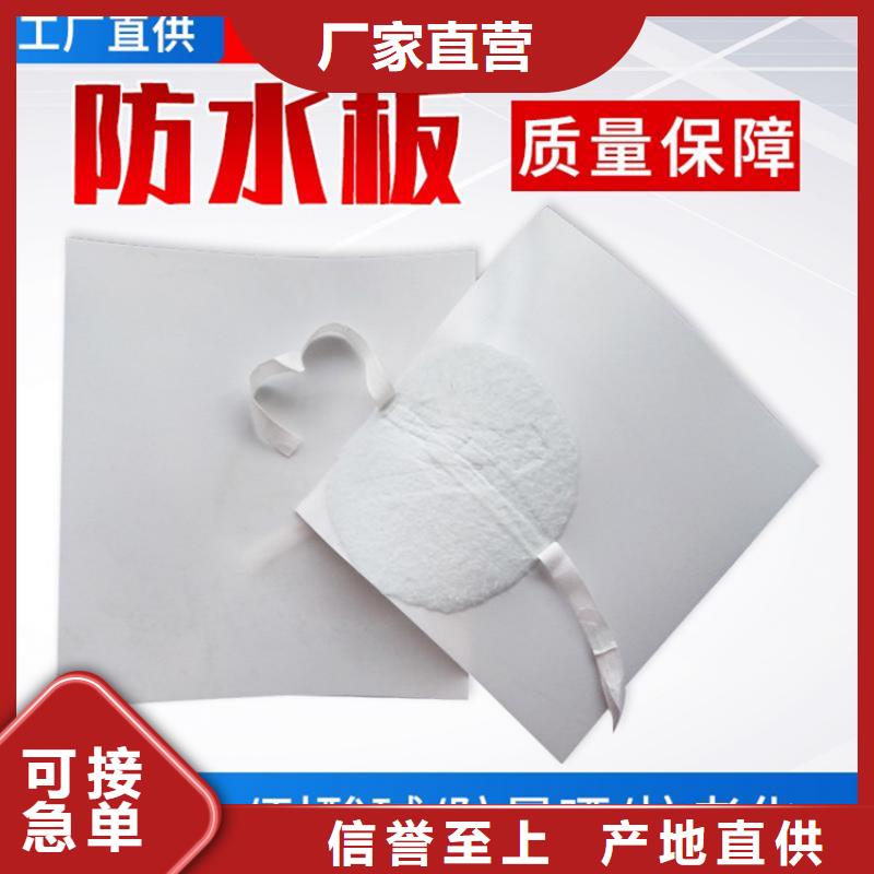 货源【 防水板-膨润土防水毯支持非标定制】
