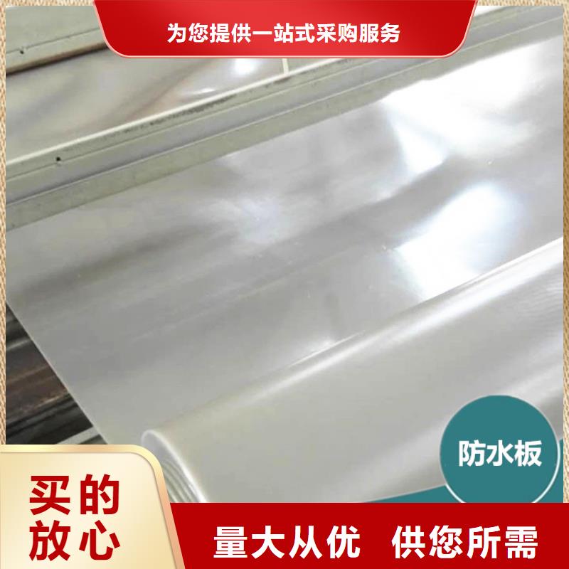 防水板矿用阻燃网精心选材