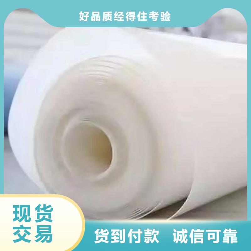 【核心技术 防水板 膨润土防水毯质优价保】由中齐为您