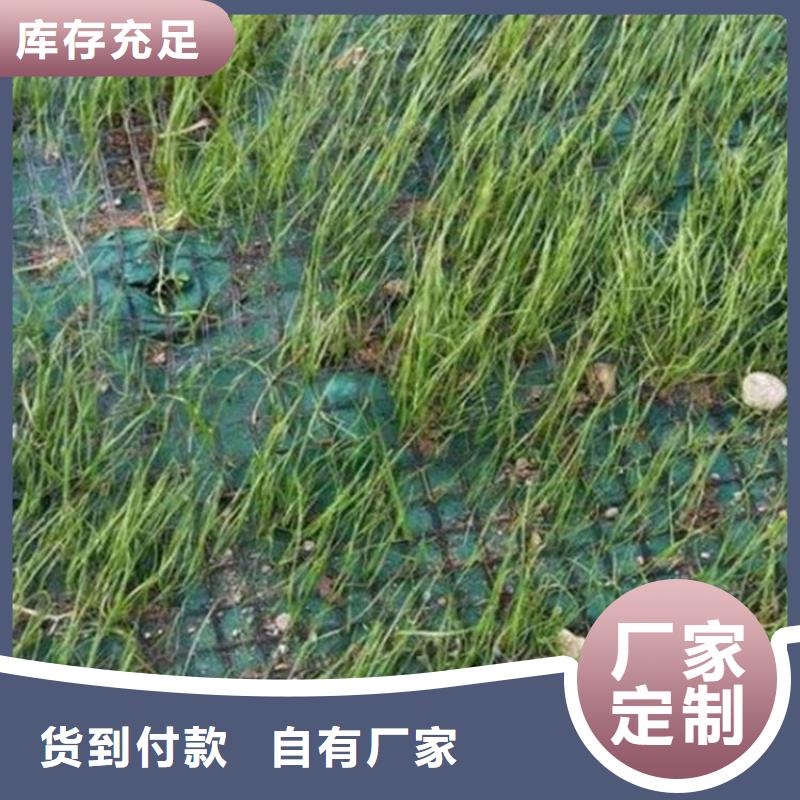 椰丝毯土工膜精品优选