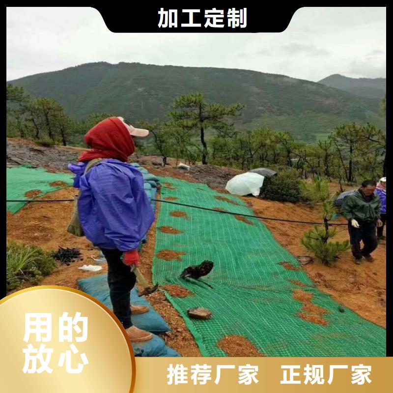 椰丝毯-土工格栅做工精细