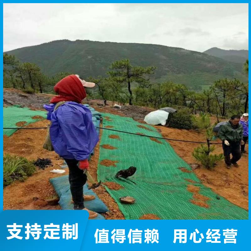 优选好材铸造好品质 椰丝毯_【土工布】规格齐全-本地性价比高_产品案例