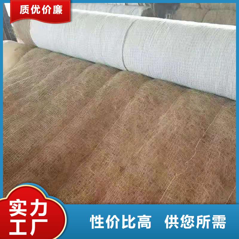 椰丝毯复合土工膜全品类现货