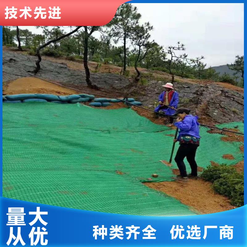 椰丝毯_【土工布】规格齐全同城服务商