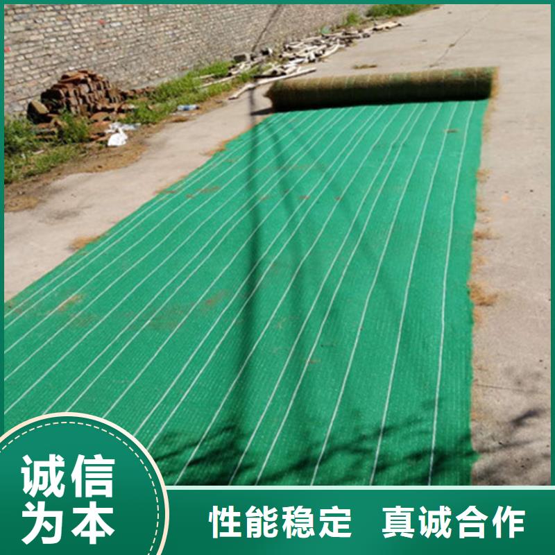 椰丝毯-土工格栅做工精细