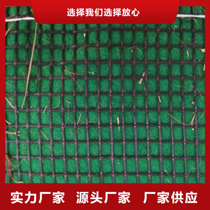 椰丝毯_【土工布】规格齐全同城服务商