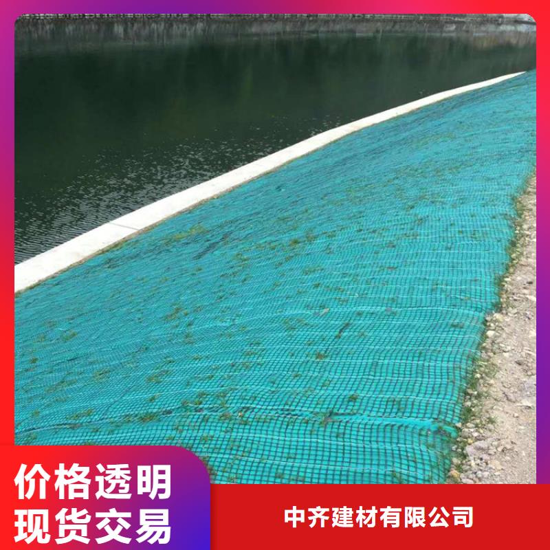 椰丝毯-土工格栅做工精细