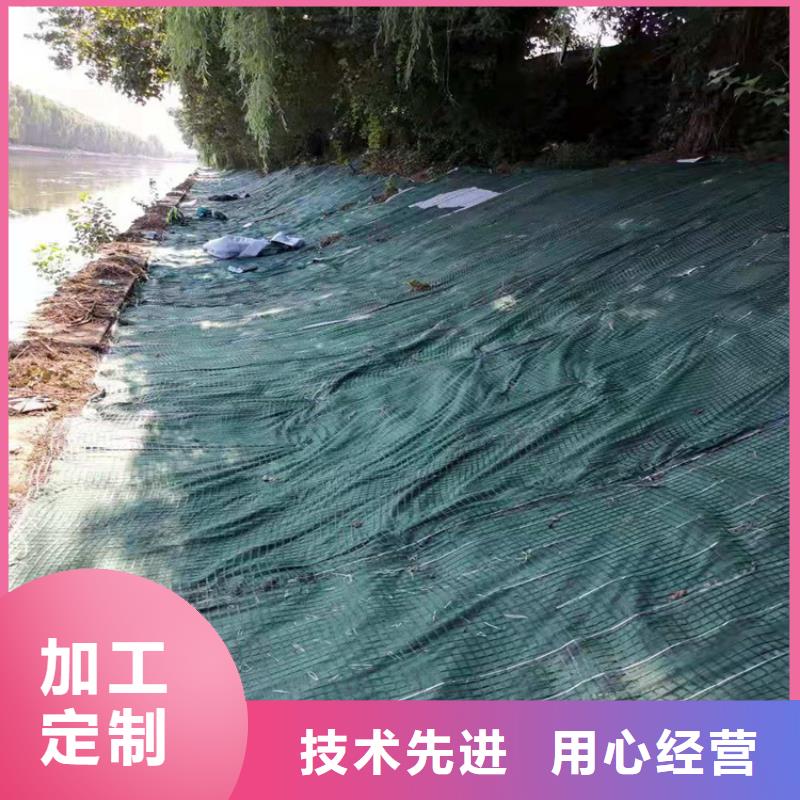 优选好材铸造好品质 椰丝毯_【土工布】规格齐全-本地性价比高_产品案例