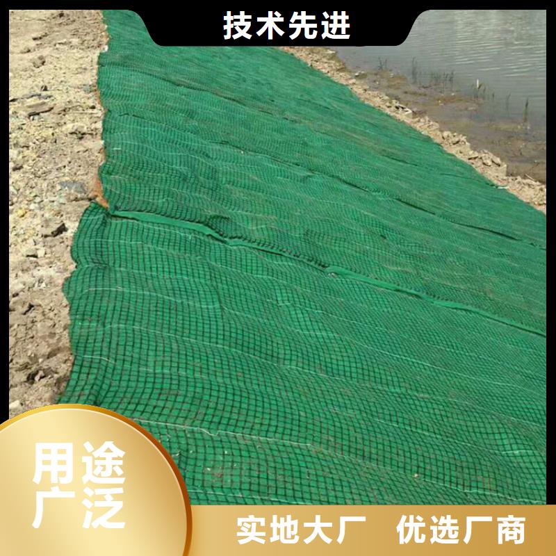 椰丝毯_HDPE土工膜加工定制