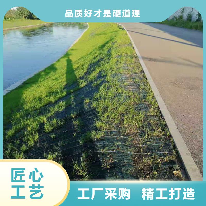 椰丝毯_【土工布】规格齐全同城服务商