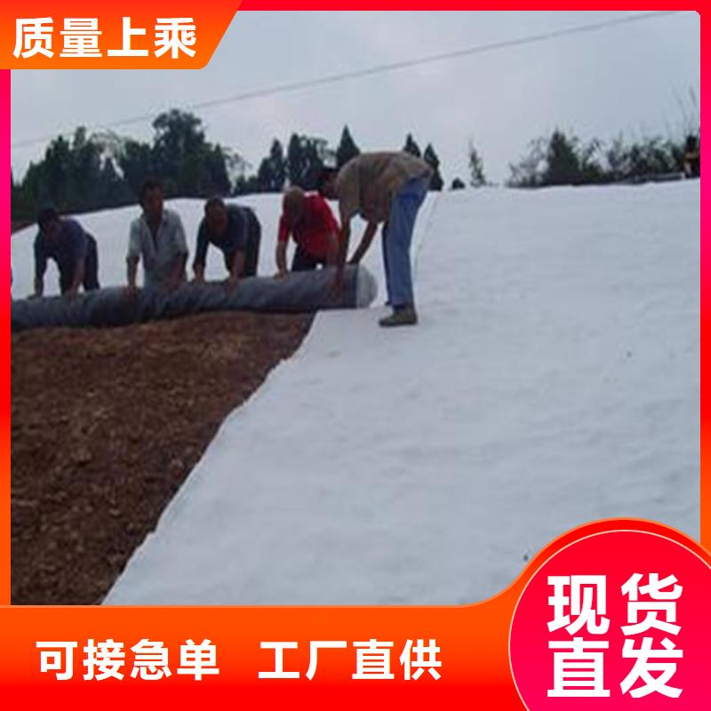 膨润土防水毯土工格栅优势