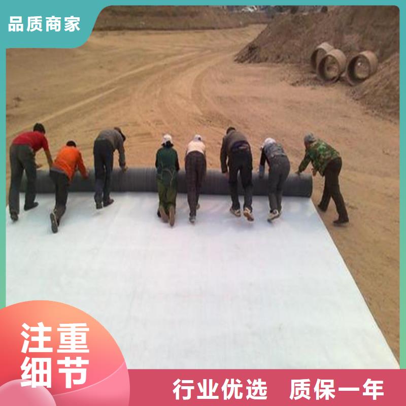 膨润土防水毯 【HDPE土工膜】工厂采购适用场景