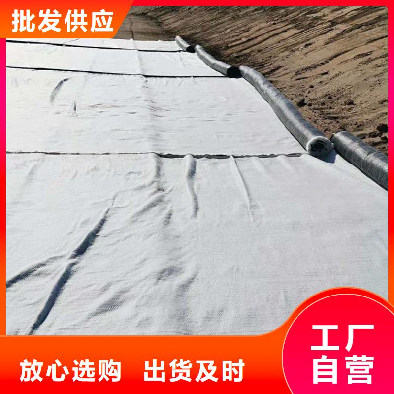 膨润土防水毯_【土工格栅】追求品质