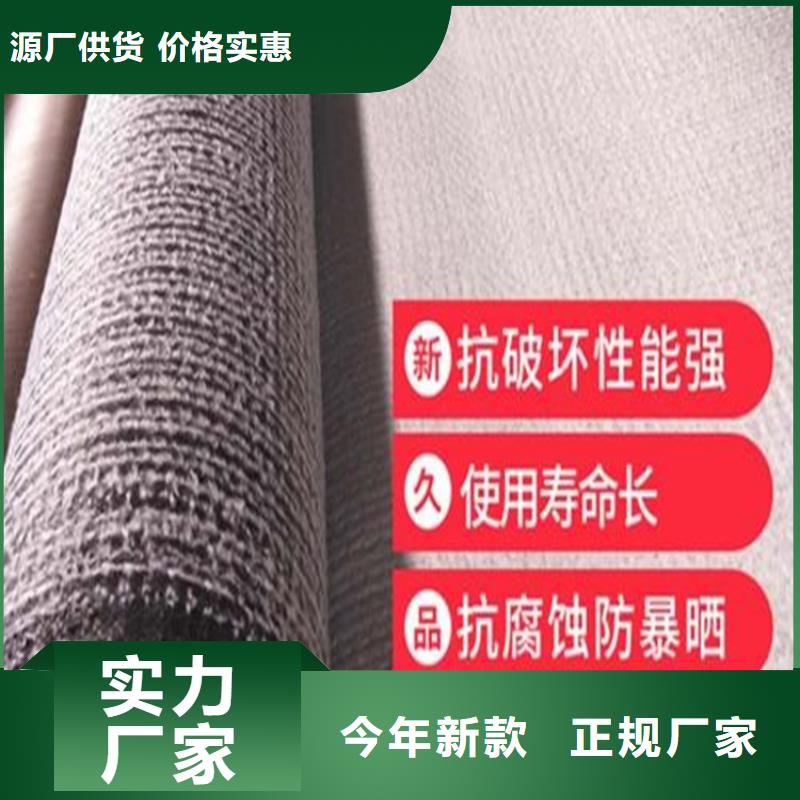 膨润土防水毯_【土工格栅】追求品质