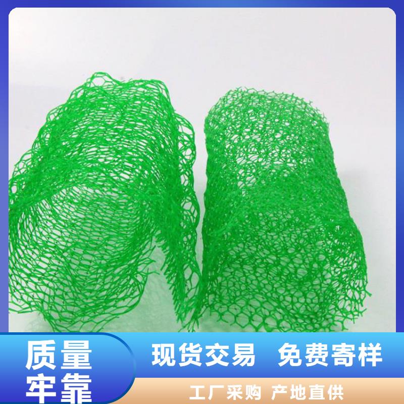 【三维植被网】_软式透水管厂家直销供货稳定由中齐为您