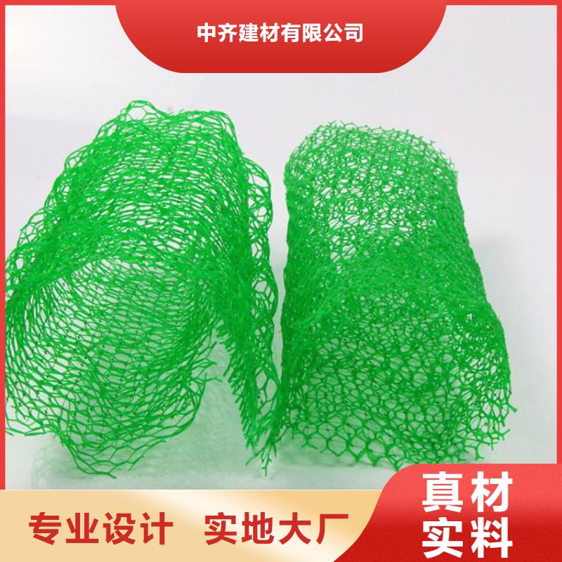 三维植被网,通风降噪丝网质量为本