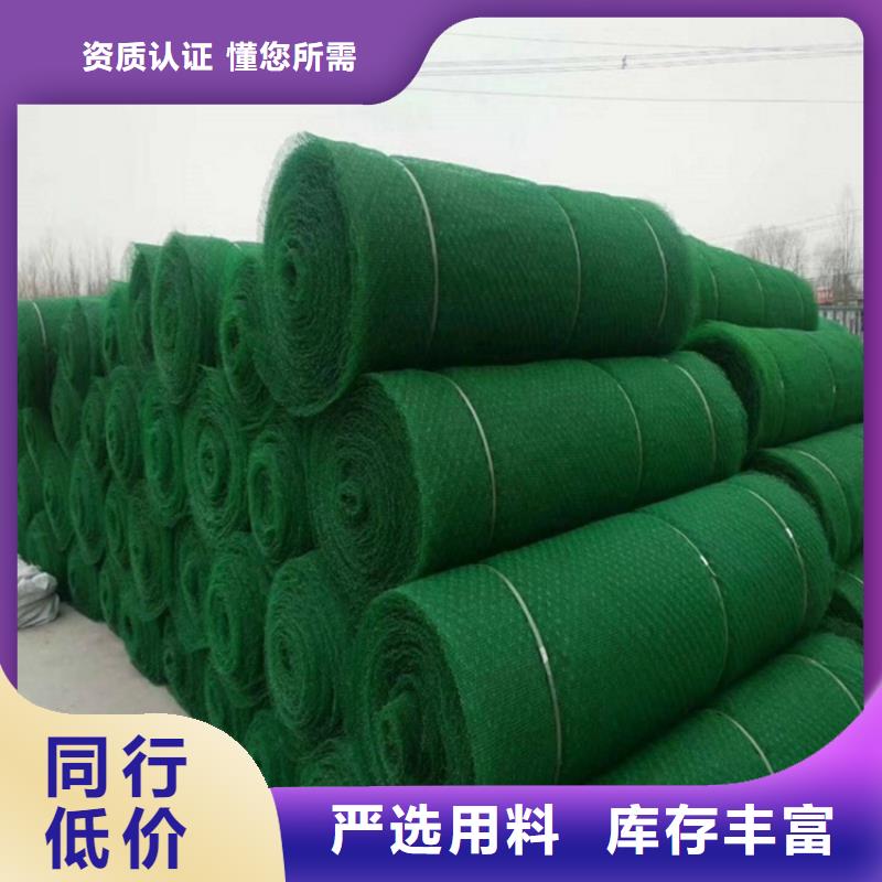三维植被网玻纤格栅工厂价格