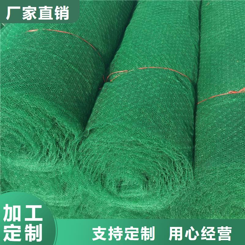 三维植被网防裂贴品质可靠