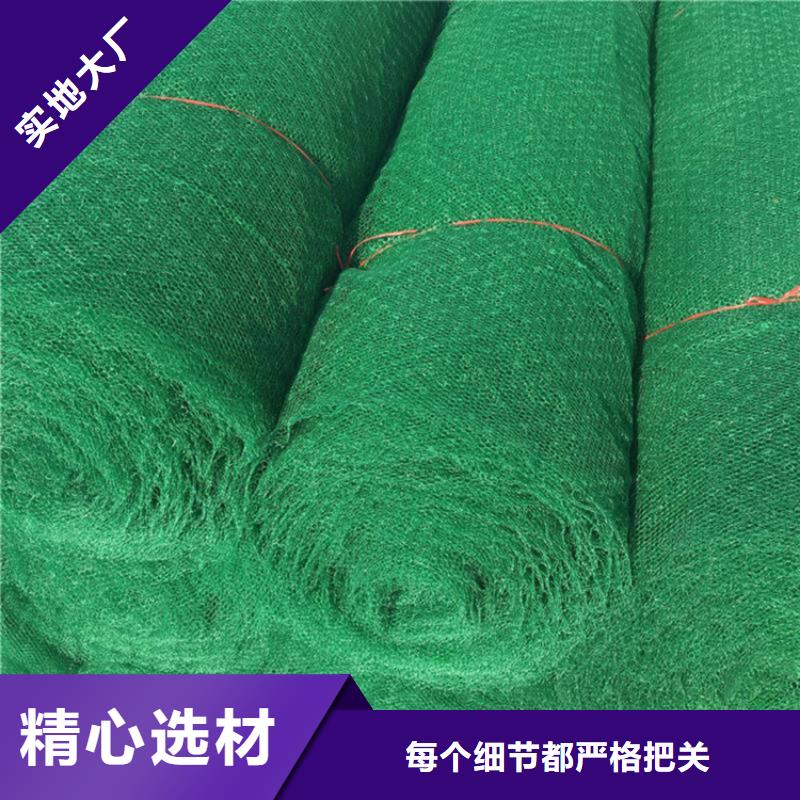 【三维植被网】_软式透水管厂家直销供货稳定由中齐为您