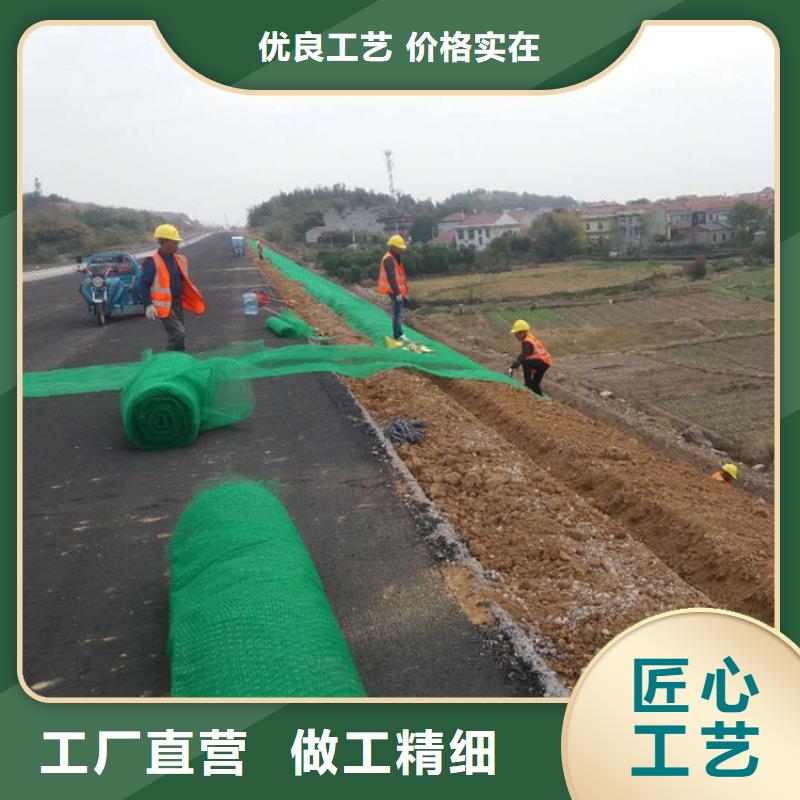 三维植被网_生态带种类多质量好